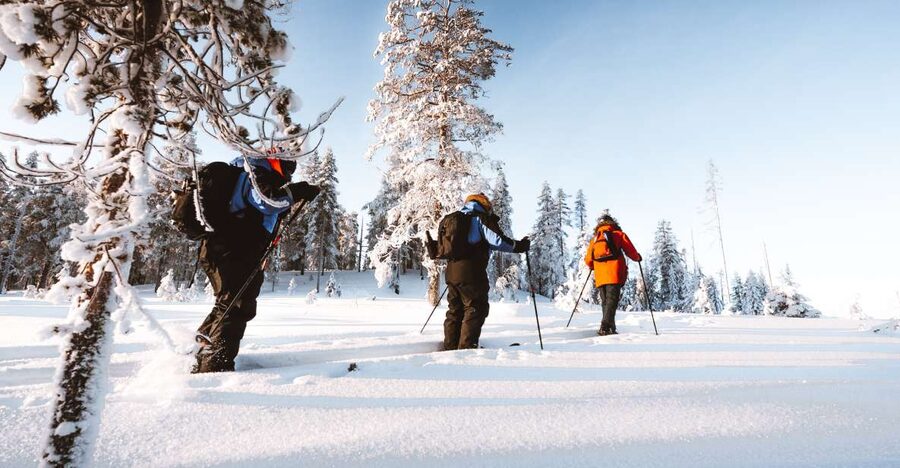 Rovaniemi: Lapland Ski Trekking Safari - What the $128 price includes