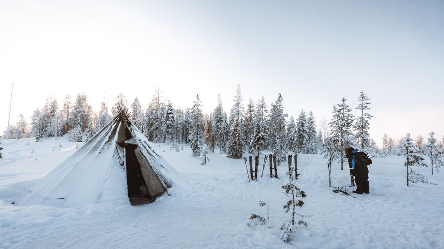 Rovaniemi: Lapland Ski Trekking Safari - Who should choose this safari?