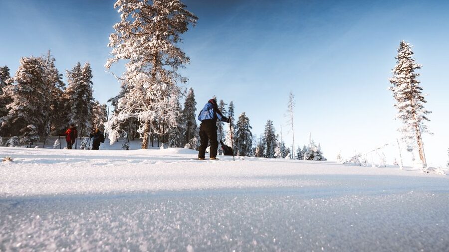 Rovaniemi: Lapland Ski Trekking Safari - Learning the skis before the real trek