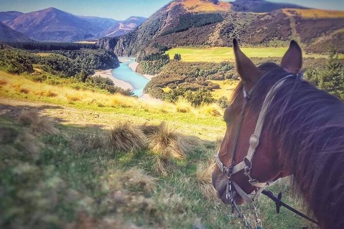 Rubicon Valley Horse Treks - 2 Hour River Trail Horse Trek - Price, group size, and what you receive