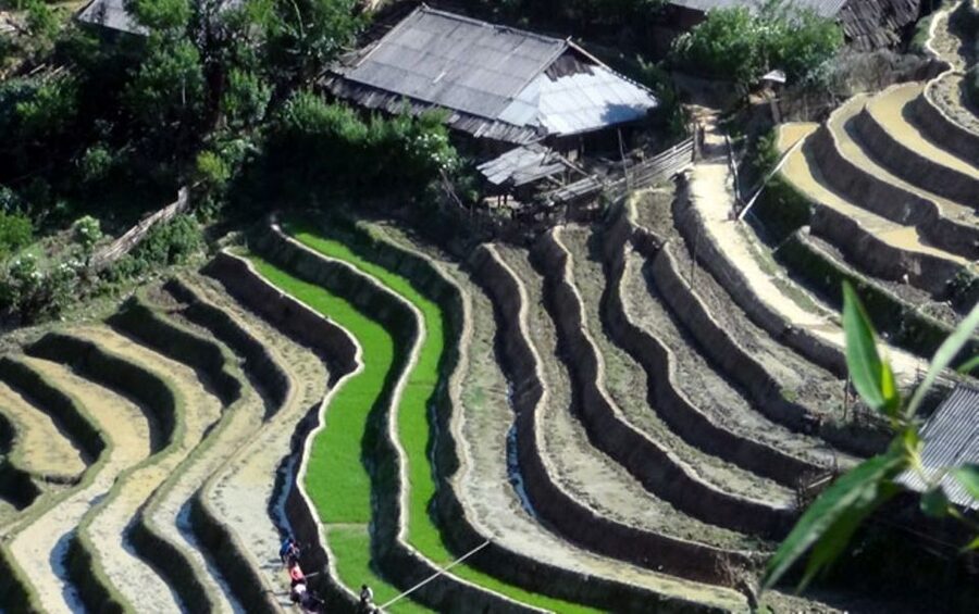 Sa Pa: 6-Hours Muong Hoa Valley Trek with Local Ethnic guide - Lunch at your own cost