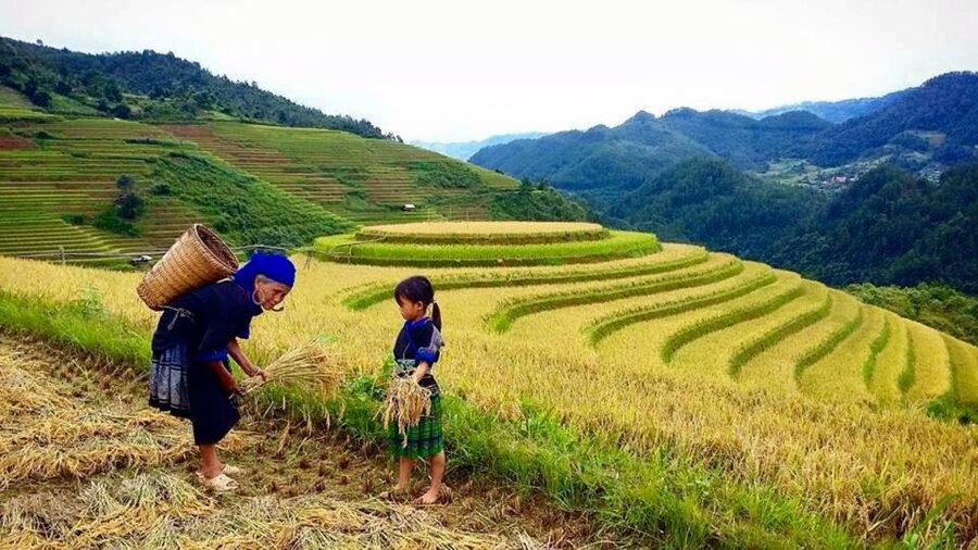 Sa Pa: 6-Hours Muong Hoa Valley Trek with Local Ethnic guide - What the $18 price really covers