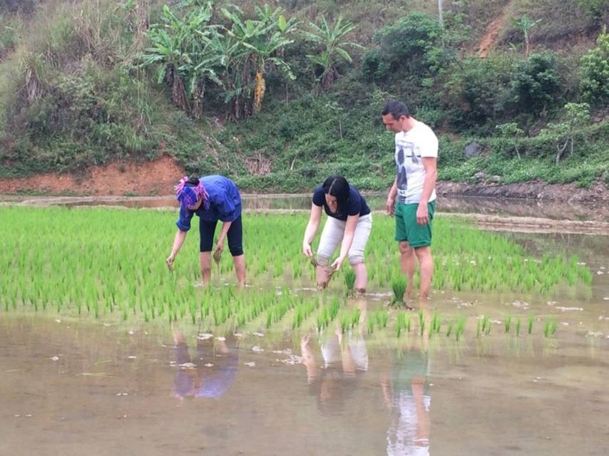 Sa Pa: 6-Hours Muong Hoa Valley Trek with Local Ethnic guide - Hmong crafts in Lao Chai