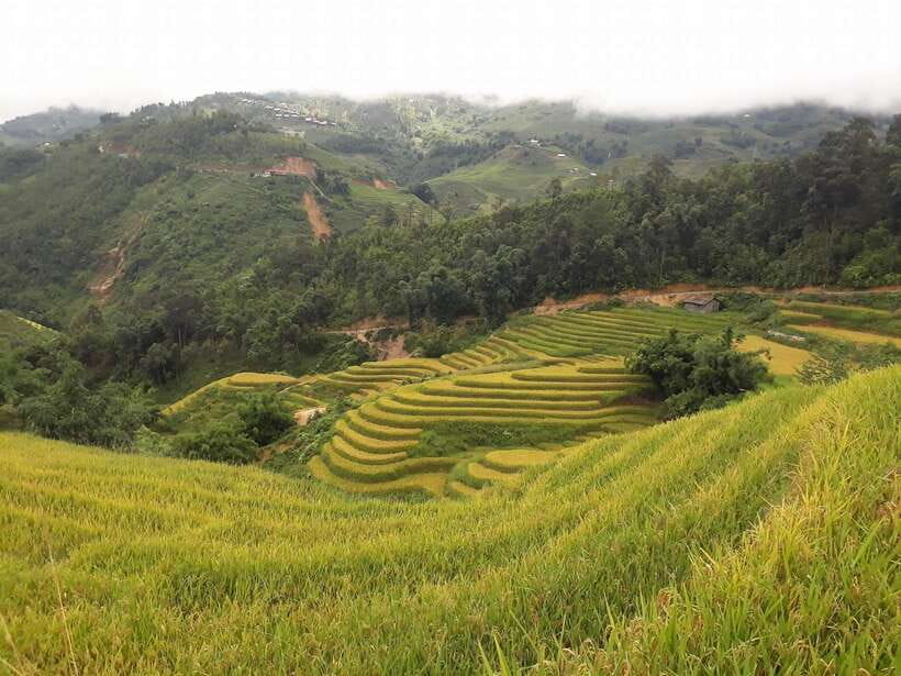 Sa Pa: Muong Hoa Valley Trek and Local Ethnic Villages - What makes this trek worth six hours