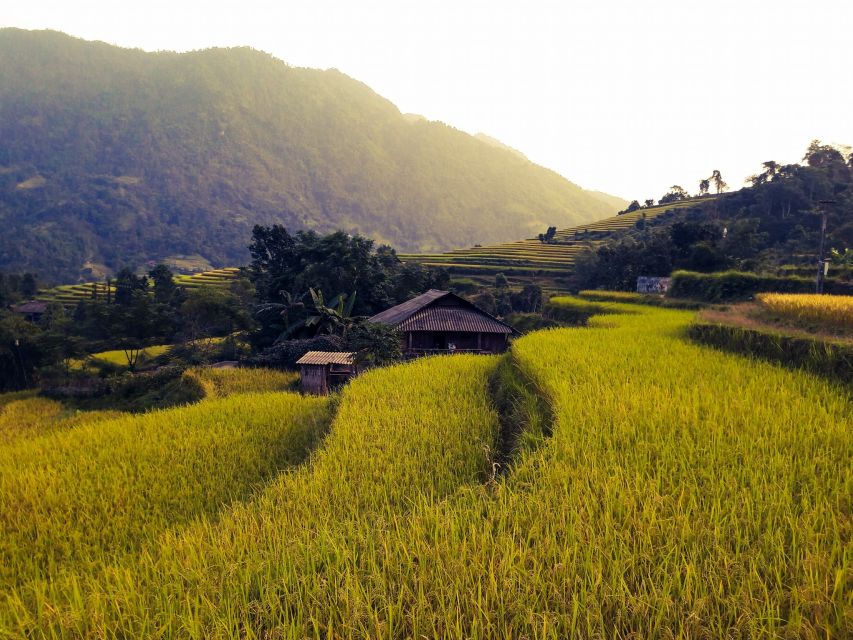 Sa Pa: Muong Hoa Valley Trek and Local Ethnic Villages - Who should book it?