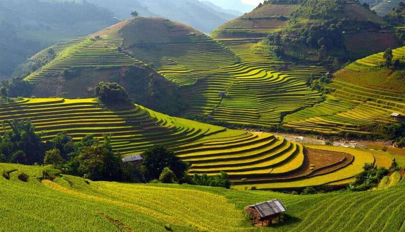 Sa Pa: Muong Hoa Valley Trek and Local Ethnic Villages - Ta Van Giay, the river, and ancient carvings