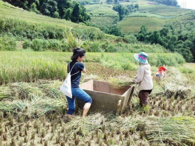 Sa Pa: Muong Hoa Valley Trek and Local Ethnic Villages