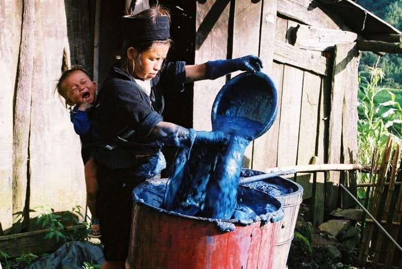 Sa Pa: Muong Hoa Valley Trek and Local Ethnic Villages - How hard is the Muong Hoa trek?