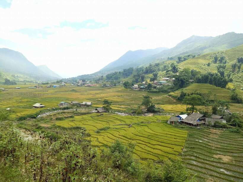Sa Pa: Muong Hoa Valley Trek and Local Ethnic Villages - The guides and group size