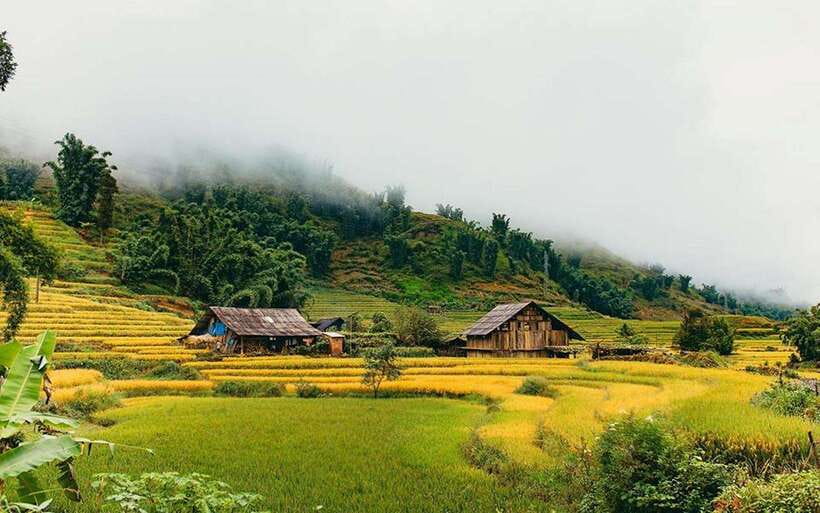 Sa Pa: Muong Hoa Valley Trek and Local Ethnic Villages - Is $23 good value?