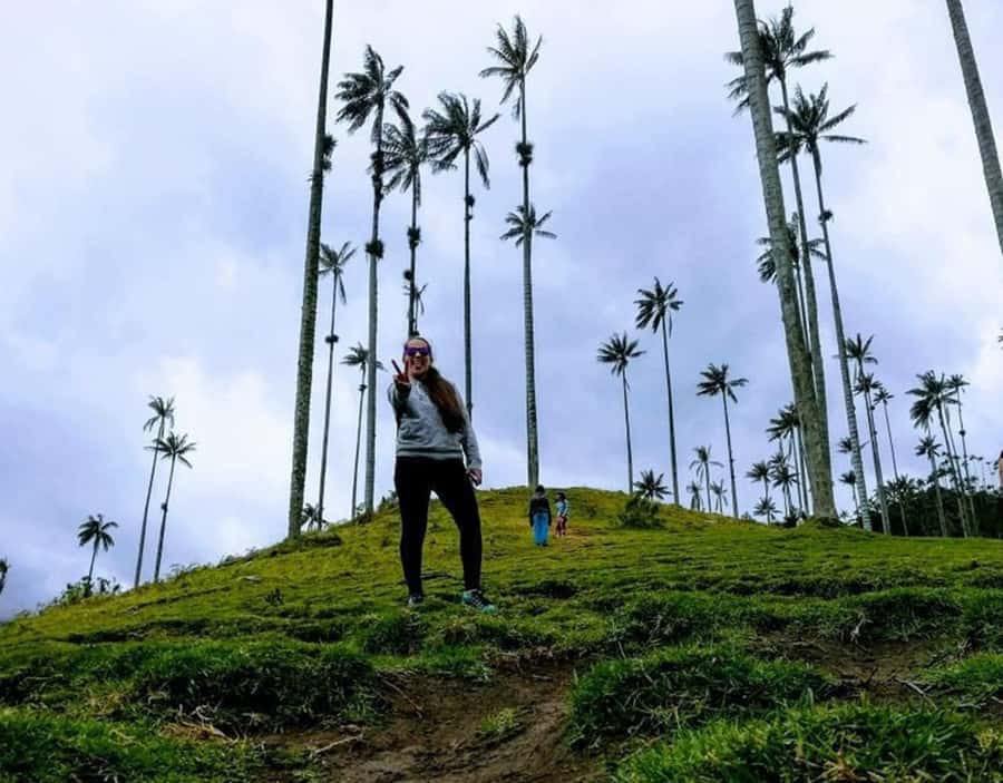 Salento/Pereira: Cocora Valley & Salento Hiking Private Tour - Why Cocora Valley is worth the effort