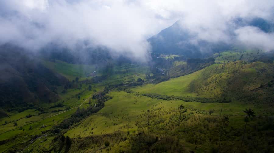 Salento/Pereira: Cocora Valley & Salento Hiking Private Tour - Mirador 1, Mirador 2, and the value of going higher