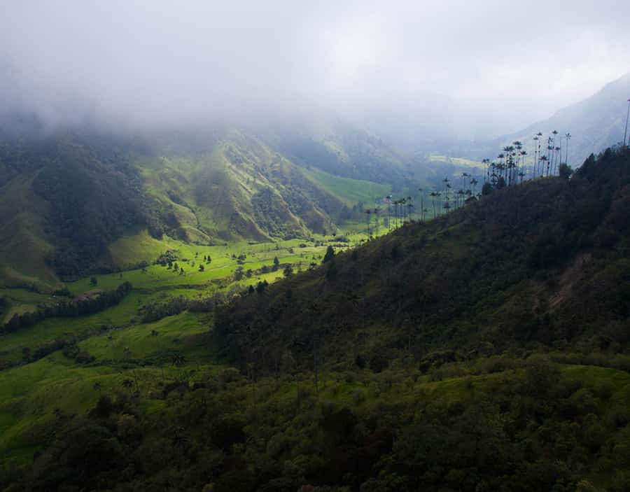Salento/Pereira: Cocora Valley & Salento Hiking Private Tour - The Willie ride and a practical timing issue