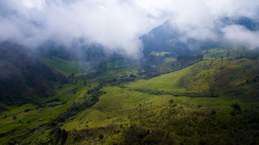 Salento/Pereira: Cocora Valley & Salento Hiking Private Tour - Weather, fitness, and what to pack