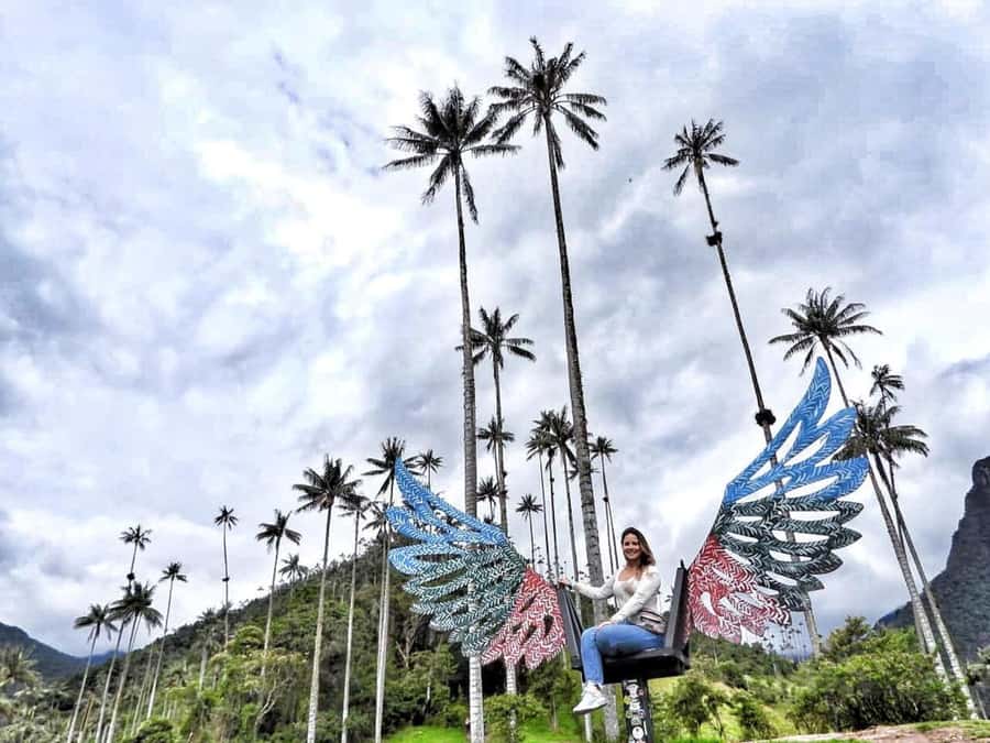 Salento/Pereira: Cocora Valley & Salento Hiking Private Tour - Meeting the palms on the Cocora trail