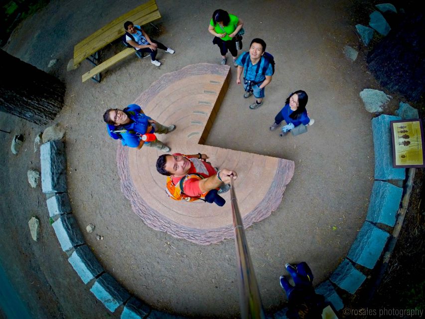 San Francisco: Day Trip to Yosemite with Giant Sequoias Hike - Key points to know before booking