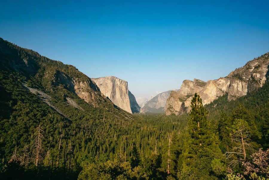 San Francisco: Day Trip to Yosemite with Giant Sequoias Hike - The early pickup and the long ride east