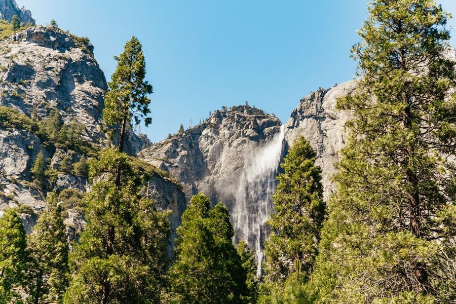 San Francisco: Yosemite National Park & Giant Sequoias Hike - Who will enjoy this Yosemite day trip?