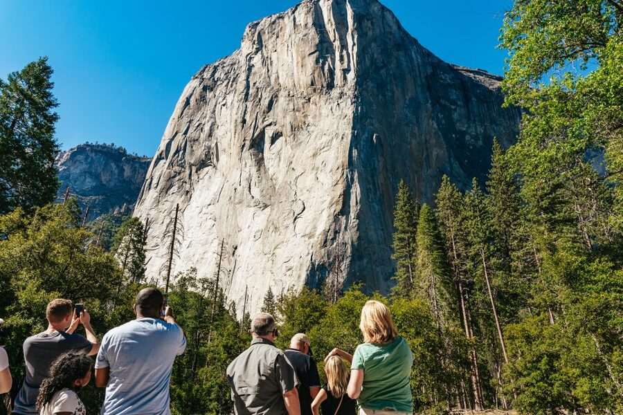 San Francisco: Yosemite National Park & Giant Sequoias Hike - The Tuolumne Grove hike is the day’s most unusual stop