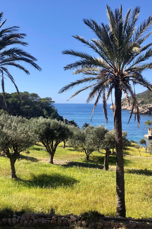 Sant Elm: Guided kayak tour to the Island Dragonera & Hiking - Key points before you book