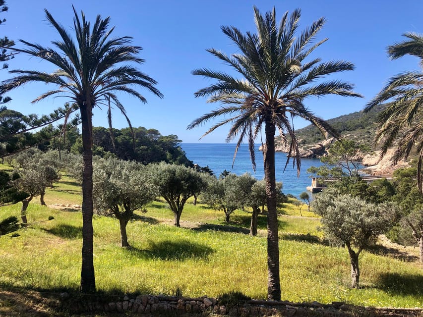 Sant Elm: Guided kayak tour to the Island Dragonera & Hiking - Who will enjoy this Dragonera outing most?