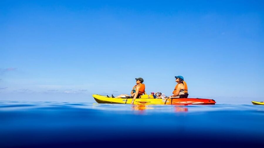 Sant Elm: Guided kayak tour to the Island Dragonera & Hiking - The Dragonera Museum and the island’s story