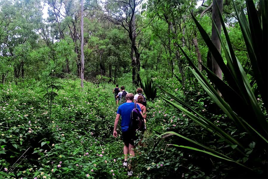 Santiago Island: Serra Malagueta & Tarrafal Beach Trek Tour - Weather, seasons, and realistic expectations