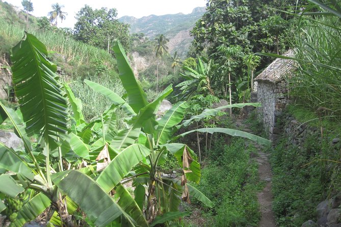 Santo Antão: Day Trip by Car or Trek - Pico da Cruz and Cova Crater above the clouds