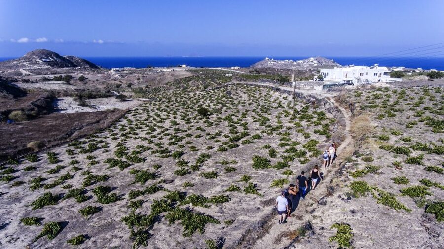 Santorini: Cooking Class and Easy Hike - Cooking with Mrs. Anna and eating what you make