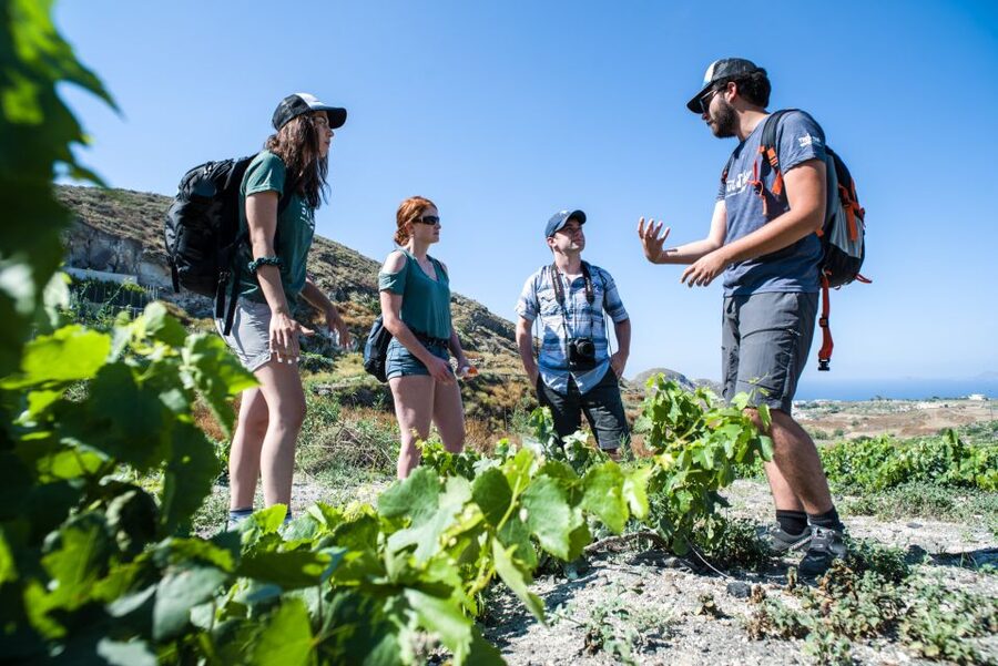 Santorini: Cooking Class and Easy Hike - The guides make the difference