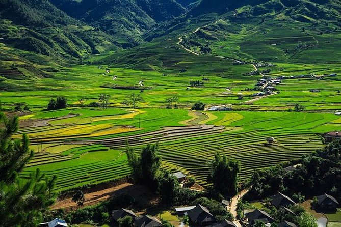 Sapa 3 Days 2 Nights Trekking Tour (1 Night In Ta Van Village, 1 Night In Hotel) - The guides can make or break the trek