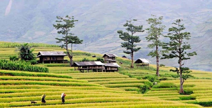 Sapa: Eco Adventure Terrace Fields and Local Villages Trek - Key points to know before you book