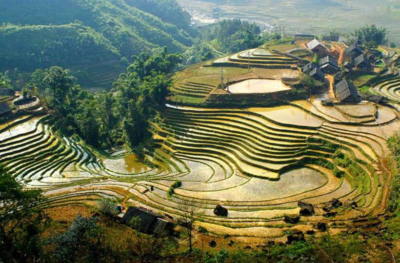 Sapa: Eco Adventure Terrace Fields and Local Villages Trek - Group size, guides, and the human side