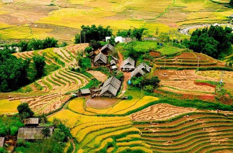 Sapa: Eco Adventure Terrace Fields and Local Villages Trek - Through rice terraces, streams, and farm paths