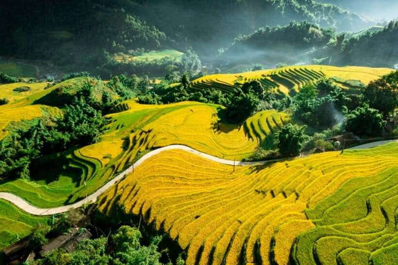 Sapa: Eco Adventure Terrace Fields and Local Villages Trek - Lunch in Lao Chai Sang around 12:30 PM
