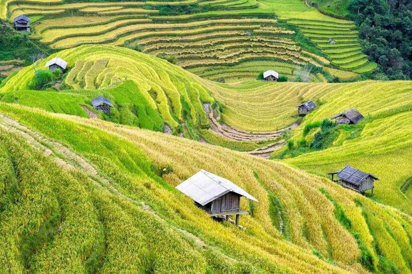 Sapa: Eco Adventure Terrace Fields and Local Villages Trek - Finishing in Ta Van Village with the Dzay community
