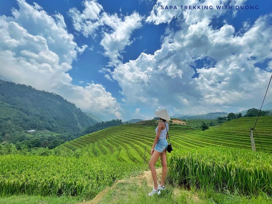 Sapa: Private The Most Beautiful Terraced Fields Trekking - Key points to know before booking