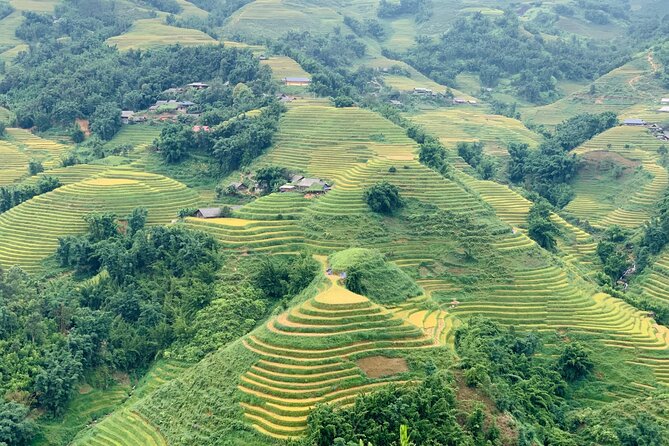 Sapa The Hidden Trail Trek 1 Day - Mountain & Rice Valley - Climbing Ham Rong and Dragon Jaw Mountain