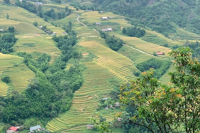 Sapa The Hidden Trail Trek 1 Day - Mountain & Rice Valley - Giang Ta Chai and the small museum