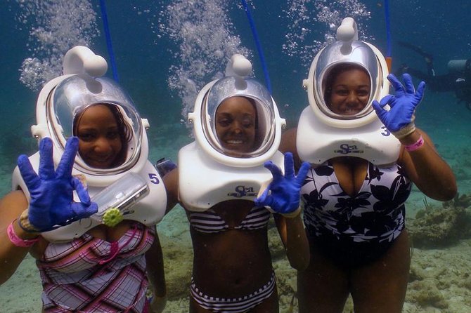 Sea Trek Helmet Dive at Coral World Ocean Park - What the Sea Trek experience actually involves