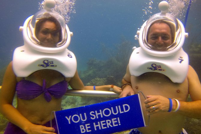 Sea Trek Helmet Dive at Coral World Ocean Park - The guides make the biggest difference