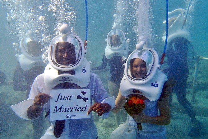 Sea Trek Helmet Dive at Coral World Ocean Park - Price and value at $119