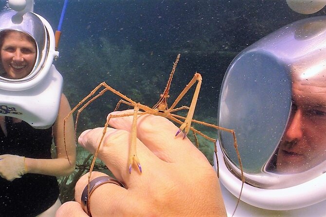 Sea Trek Helmet Dive at Coral World Ocean Park - Photos, equipment, and the small print