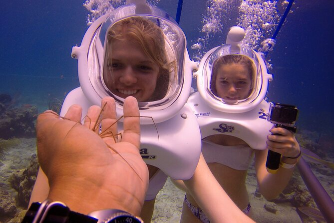 Sea Trek Helmet Dive at Coral World Ocean Park - How Sea Trek fits into a St. Thomas day