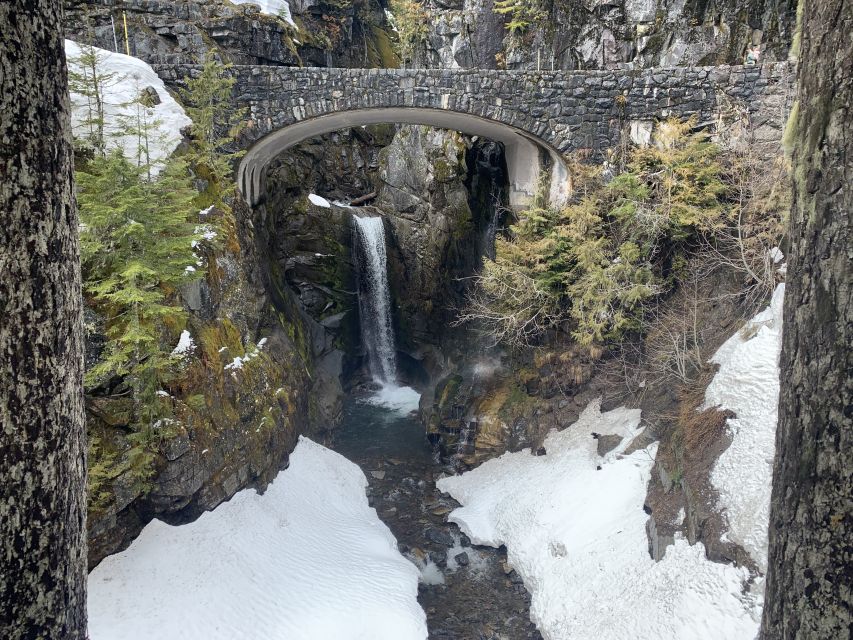 Seattle: Mt. Rainier Park Guided Full-Day Tour - Forest trails, old trees, and mountain air