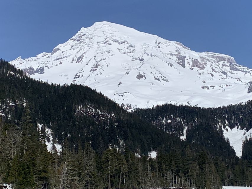 Seattle: Mt. Rainier Park Guided Full-Day Tour - Summer and early fall: easier access and longer views