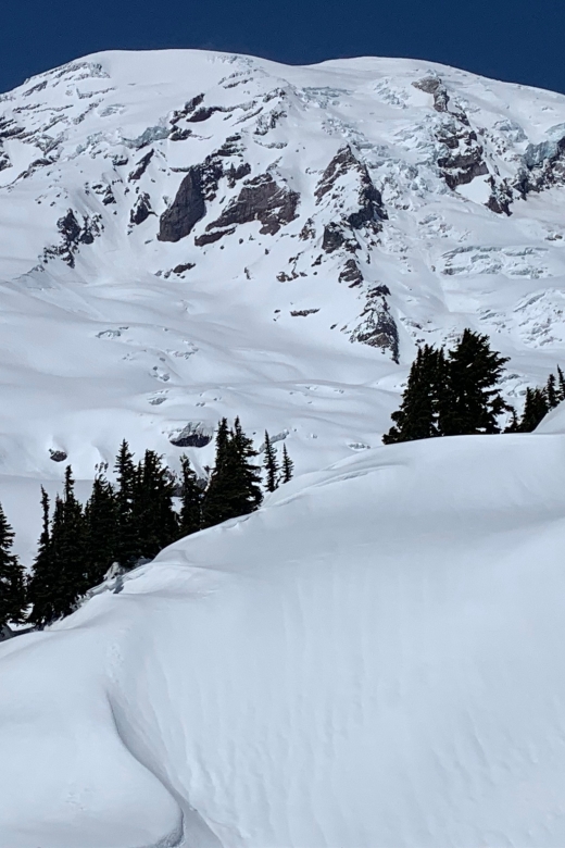 Seattle: Mt. Rainier Park Guided Full-Day Tour - The guide makes the biggest difference