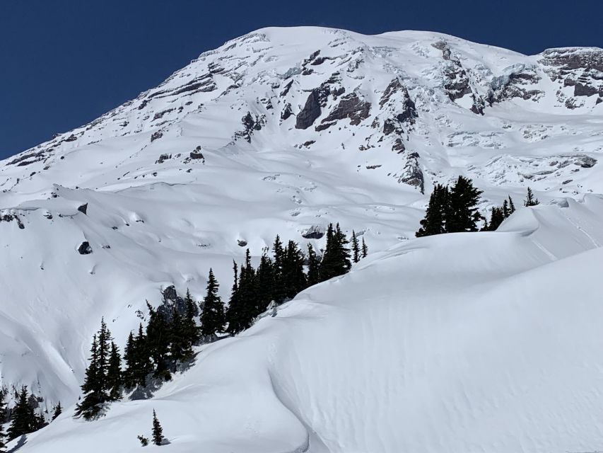 Seattle: Mt. Rainier Park Guided Full-Day Tour - First views of Mt. Rainier