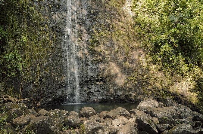 Self guided Hike Trail to Nature Walk & Waterfall - Five useful things to know before you book