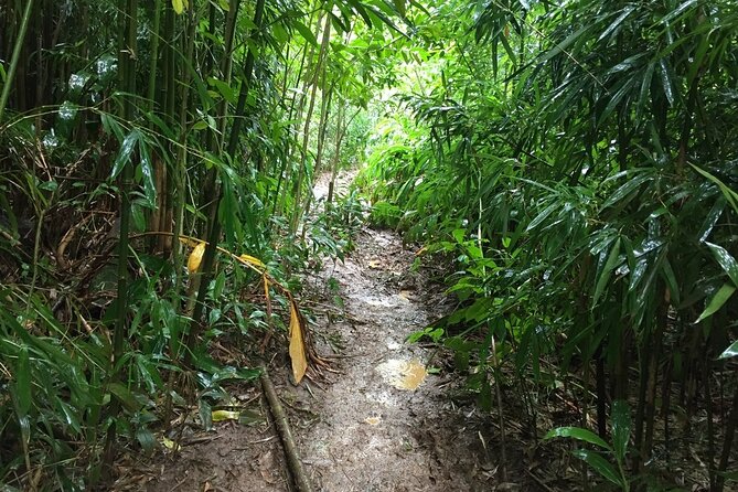 Self guided Hike Trail to Nature Walk & Waterfall - Pickup details and timing that matter